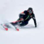 thechampionsteam-galeri (1)